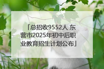 总招收9552人 东营市2025年初中后职业教育招生计划公布